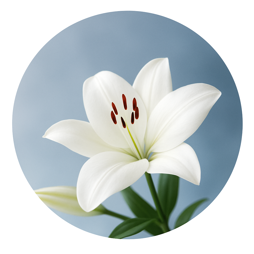 Condolences Icon