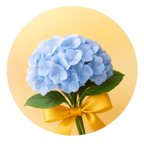 Opening category icon