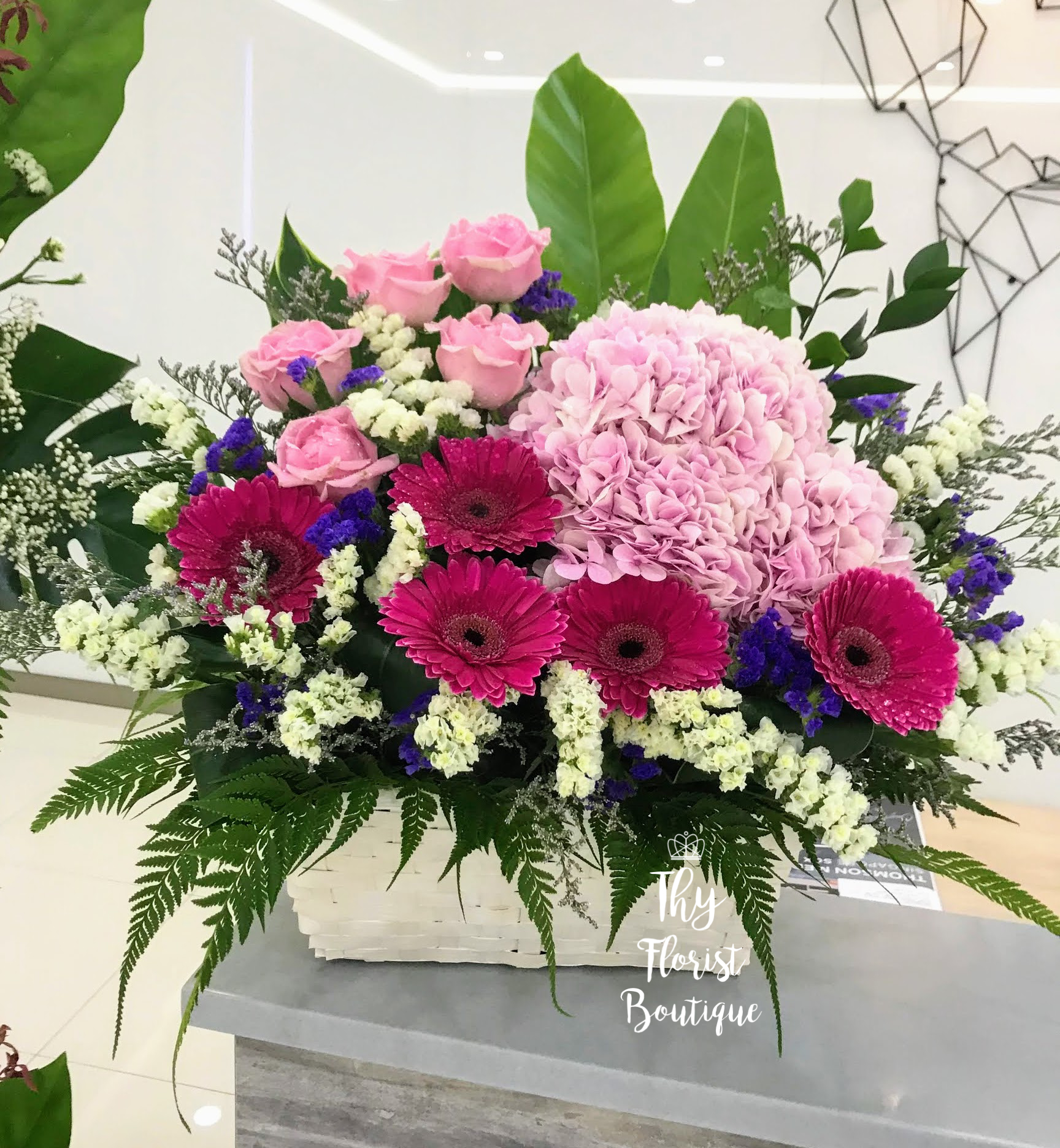 Basket Flower ‘Gaia’