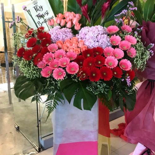 Opening Flower ‘Ela’