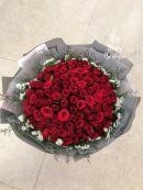 99s roses ‘Laurel’