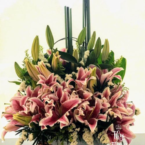 Basket Flower ‘Savannah’