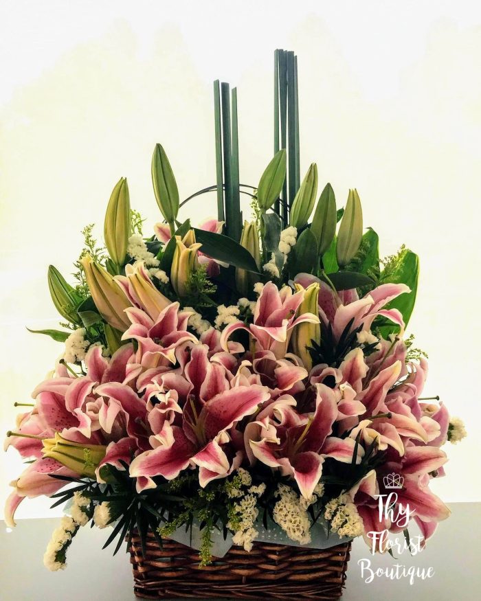 Basket Flower ‘Savannah’