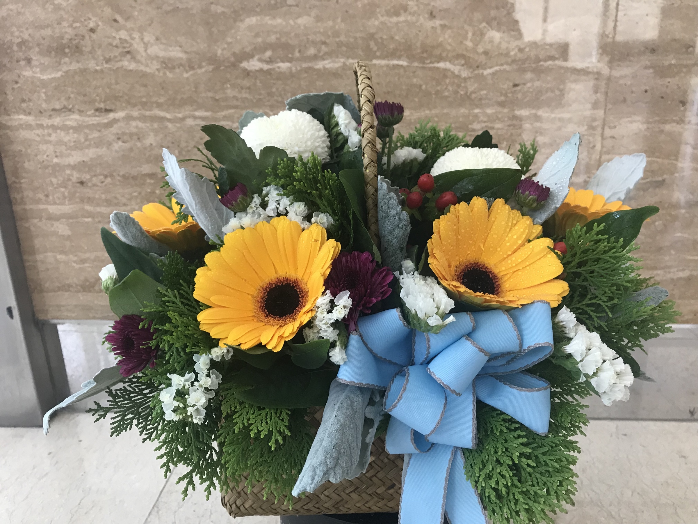 Basket flower ‘Tabitha’