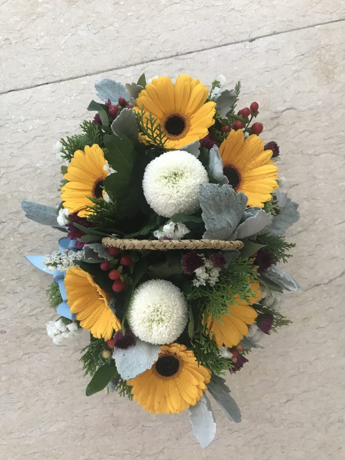 Basket flower ‘Tabitha’ - Image 2