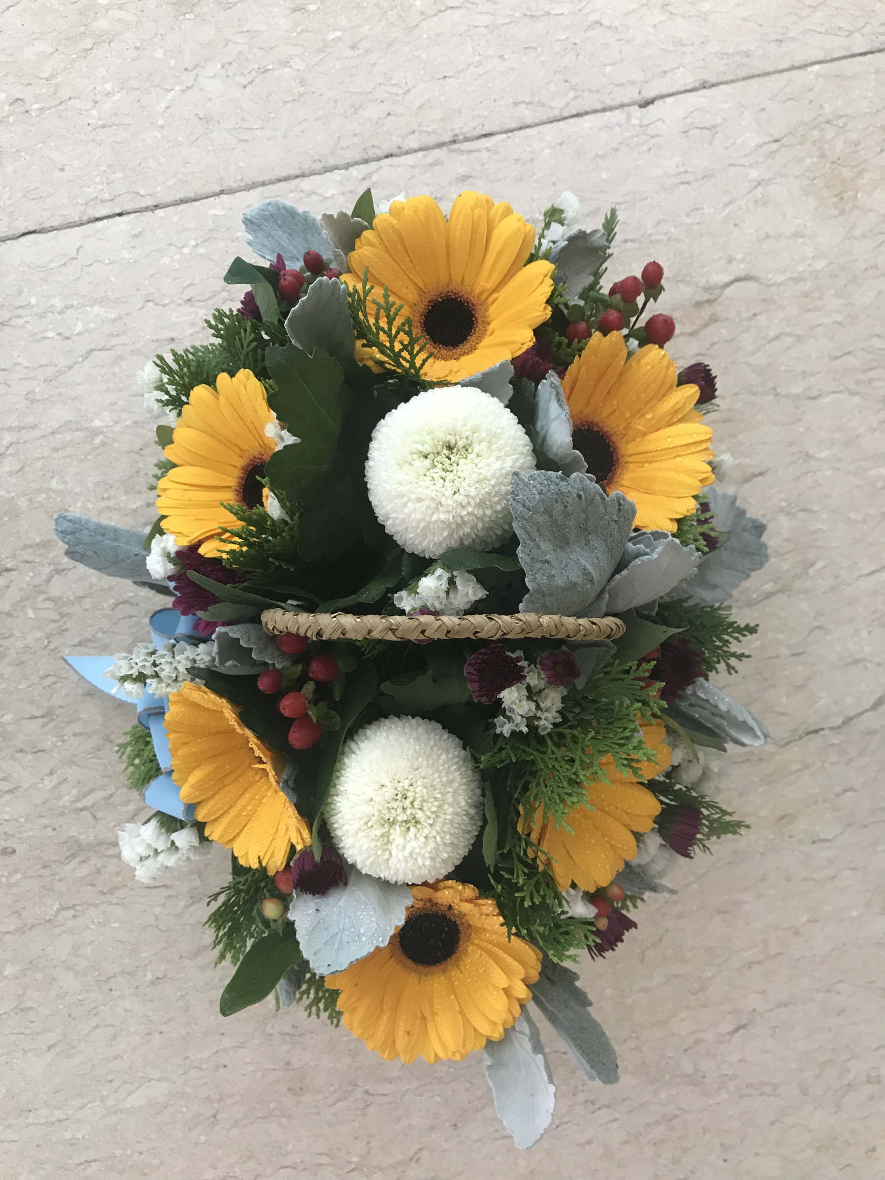 Basket flower ‘Tabitha’ - Image 2