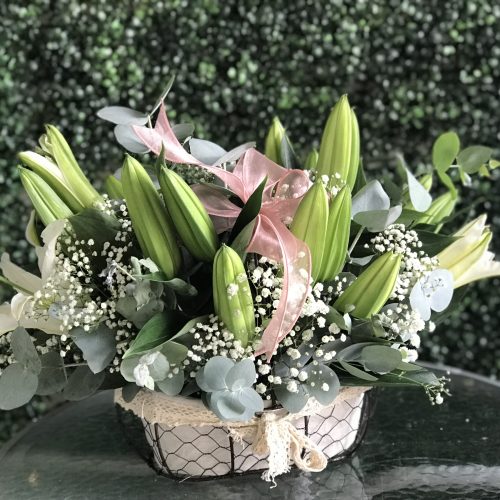Basket Flower ‘Indra’