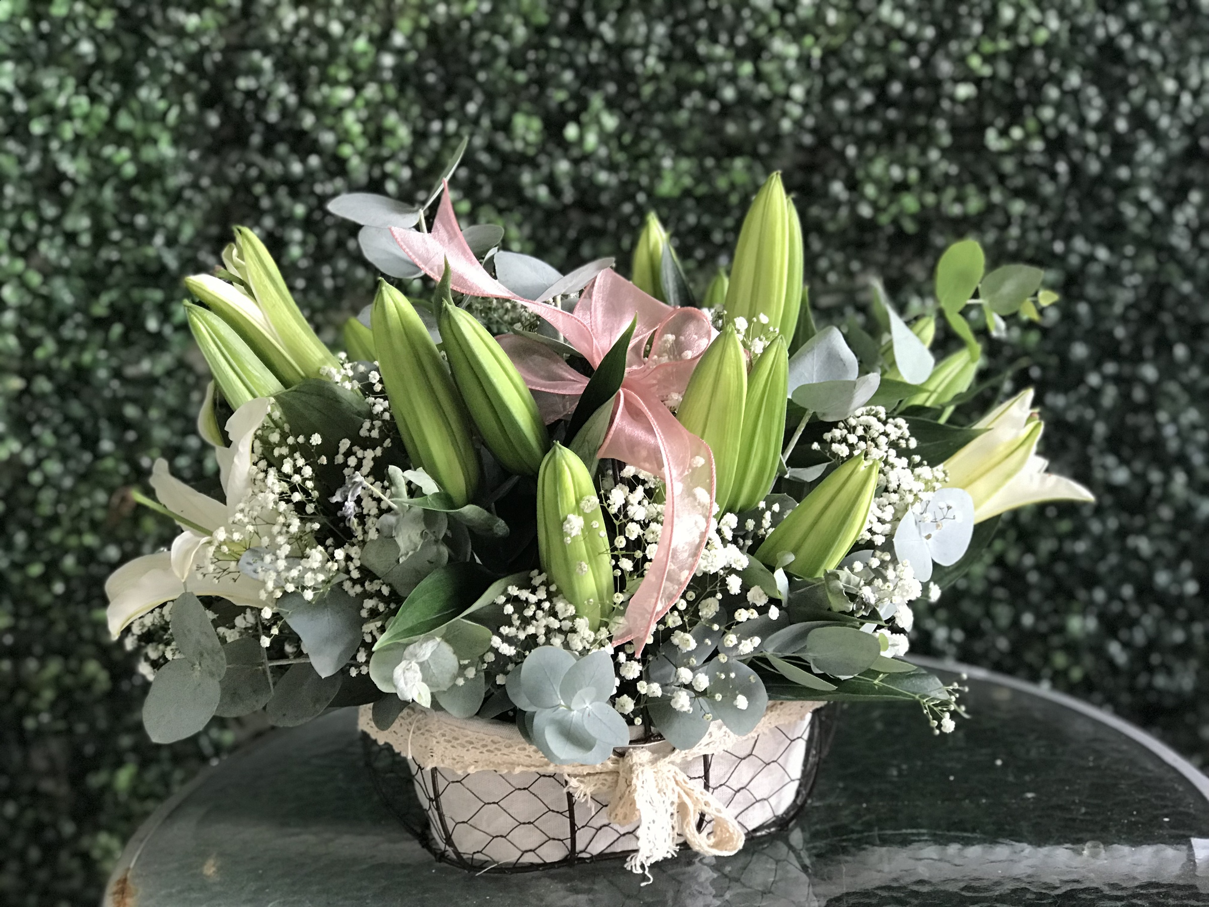 Basket Flower ‘Indra’