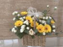 Basket Flower ‘Hazel’