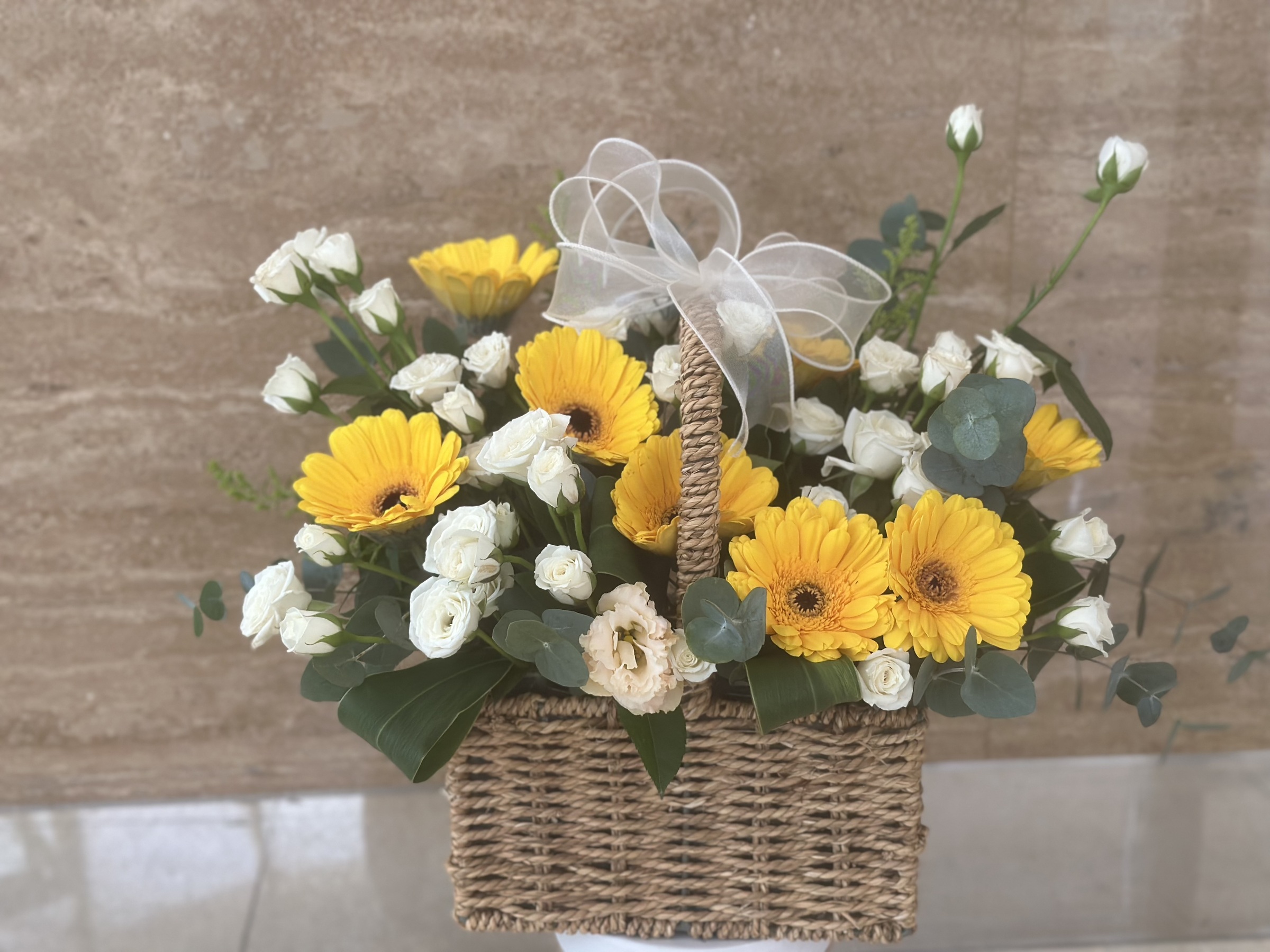 Basket Flower ‘Hazel’ - Image 2