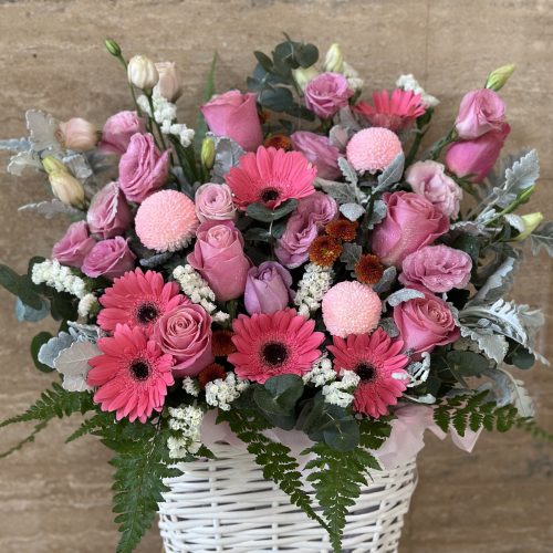 Basket Flower ‘Willow’