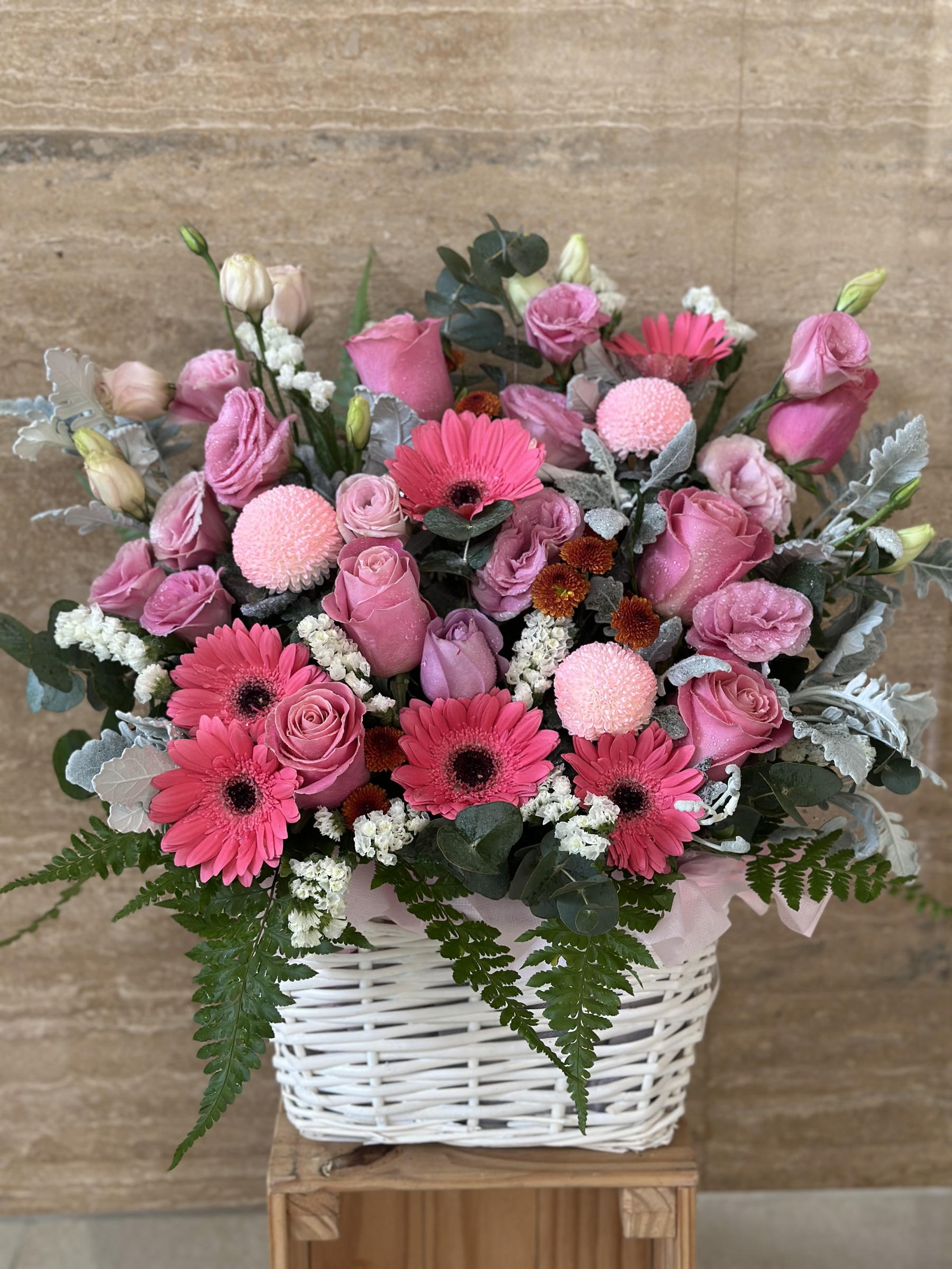 Basket Flower ‘Willow’